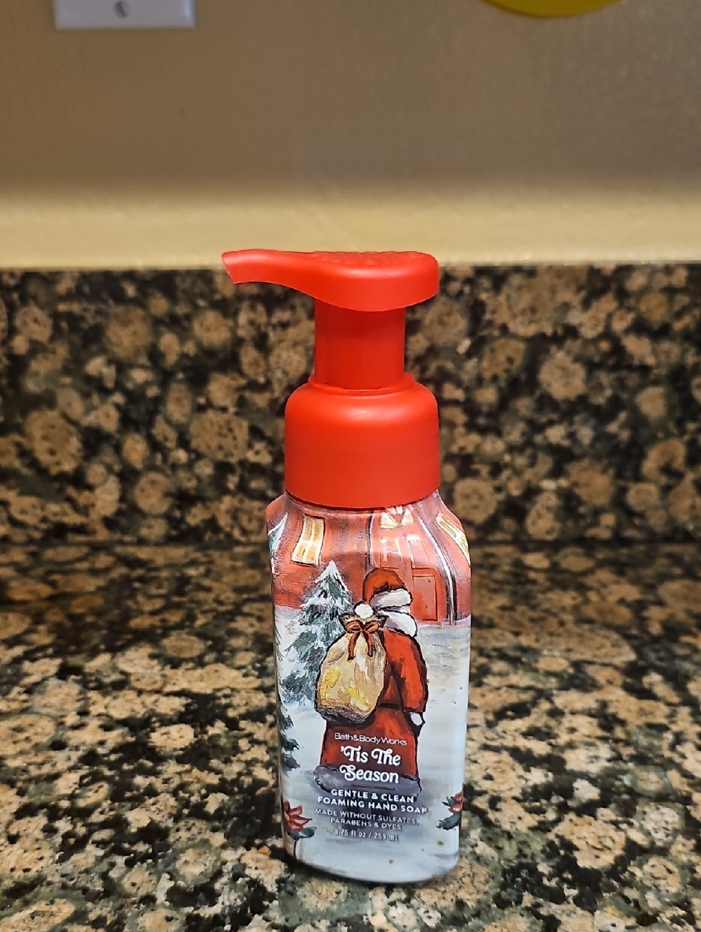 BBW Tis the Season gentle & clean  foaming hand soap